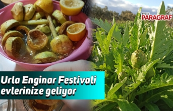 Urla Enginar Festivali evlerinize geliyor