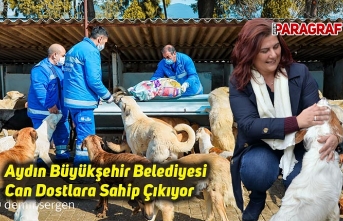 Aydın Büyükşehir Belediyesi Can Dostlara Sahip Çıkıyor