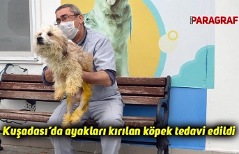 Kuşadası’da ayakları kırılan köpek tedavi edildi