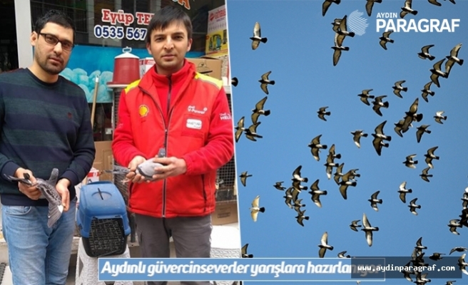 Aydınlı güvercinseverler yarışlara hazırlanıyor