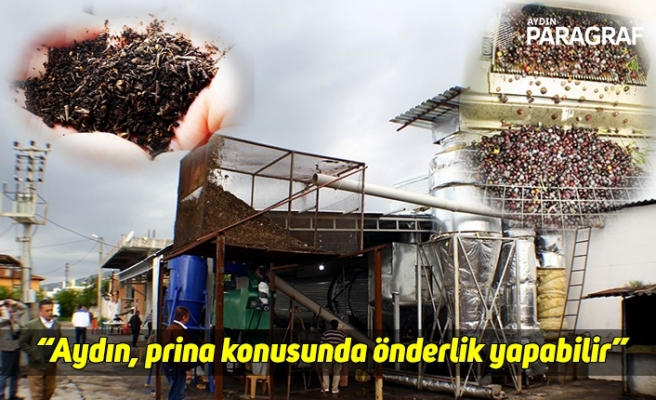 “Aydın, prina konusunda önderlik yapabilir”