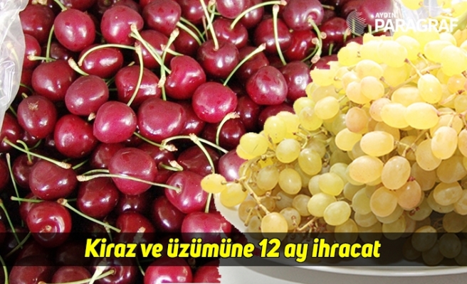 Kiraz ve üzümüne 12 ay ihracat