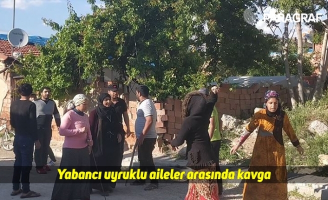Yabancı uyruklu aileler arasında kavga