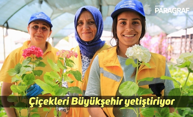 Aydın çiçeklerle güzelleşiyor