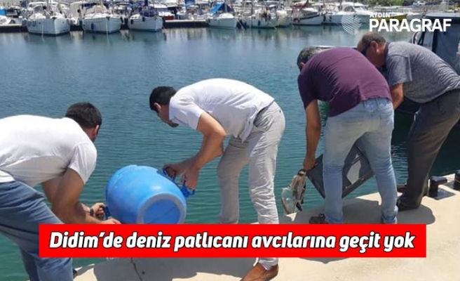 Didim’de deniz patlıcanı avcılarına geçit yok