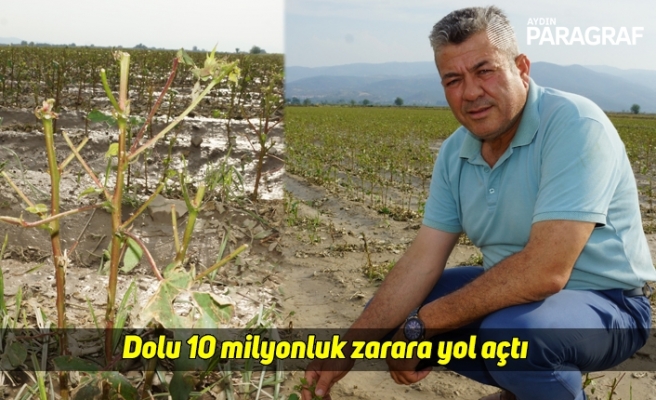 Dolu 10 milyonluk zarara yol açtı
