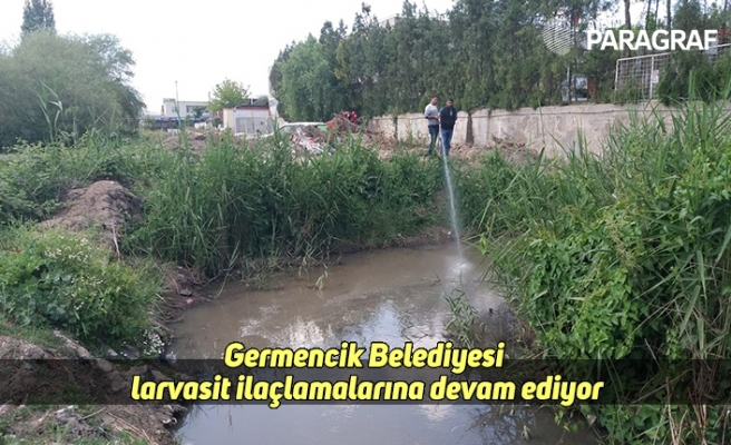 Germencik Belediyesi larvasit ilaçlamalarına devam ediyor