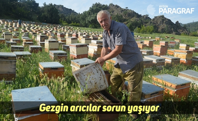 Gezgin arıcılar sorun yaşıyor