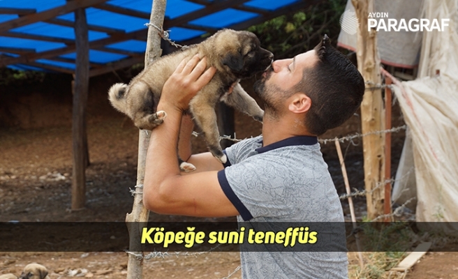 Köpeğe suni teneffüs