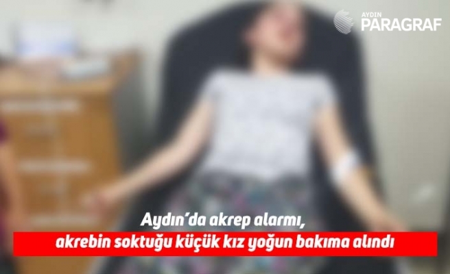 Aydın’da akrep alarmı, akrebin soktuğu küçük kız yoğun bakıma alındı