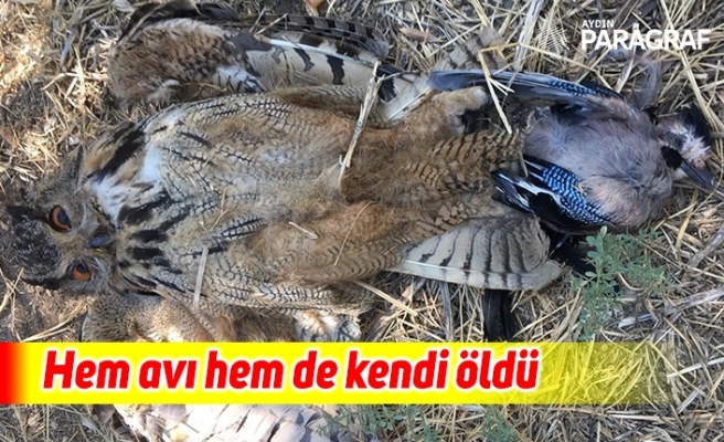 Hem avı hem de kendi öldü