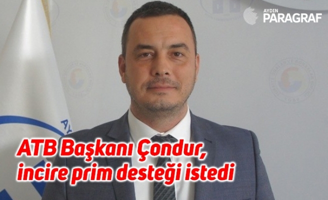 ATB Başkanı Çondur, incire prim desteği istedi