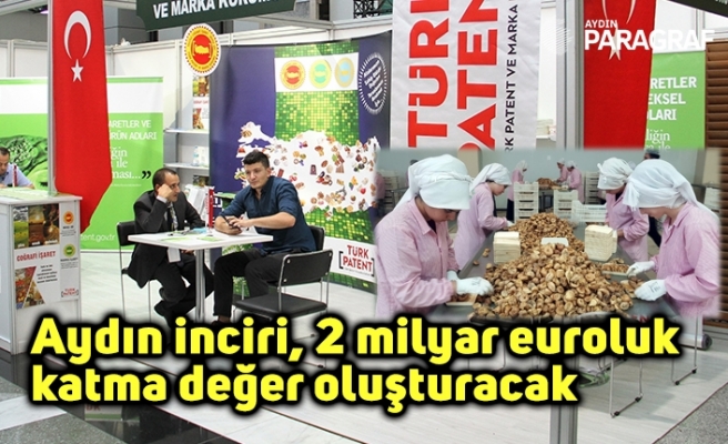Aydın inciri, 2 milyar euroluk  katma değer oluşturacak