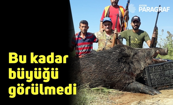 Bu kadar büyüğü görülmedi