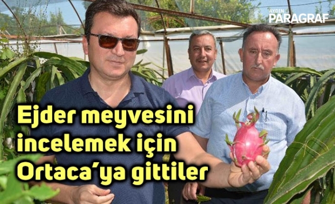 Ejder meyvesini incelemek için Aydın’dan Ortaca’ya gittiler