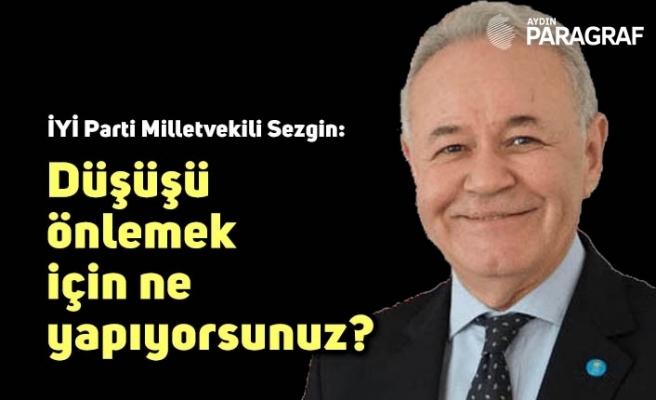 İYİ Parti Milletvekili Sezgin: Düşüşü önlemek için ne yapıyorsunuz?