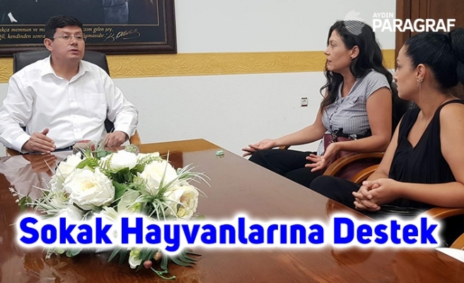 'Sokak Hayvanlarına Destek'