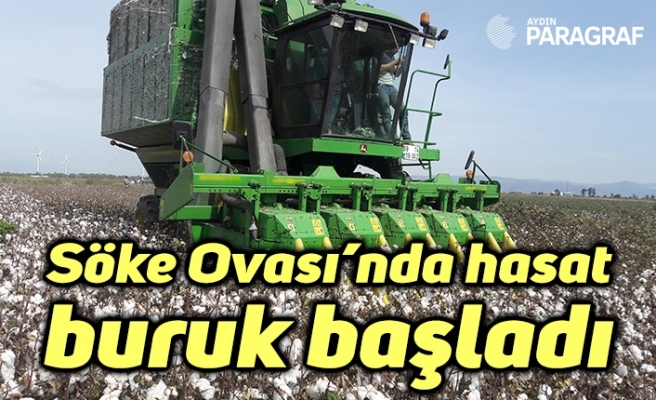 Söke Ovası’nda hasat buruk başladı