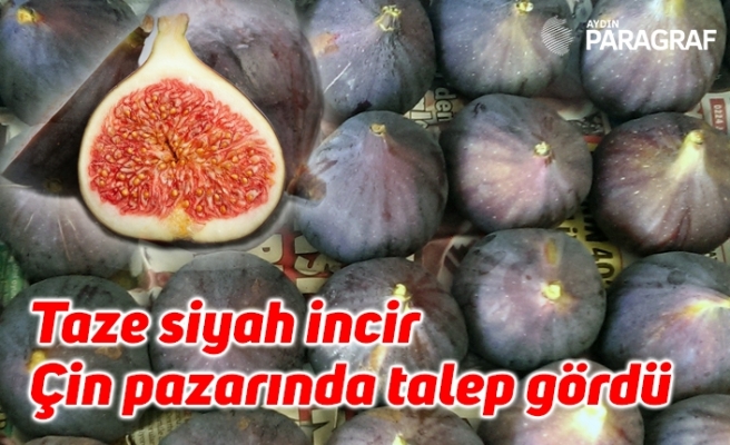 Taze siyah incir Çin pazarında talep gördü