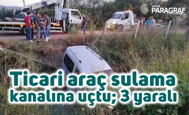 Ticari araç sulama kanalına uçtu; 3 yaralı