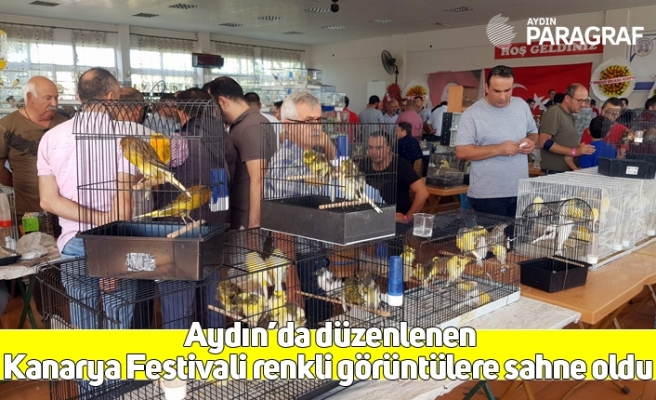 Aydın’da düzenlenen Kanarya Festivali renkli görüntülere sahne oldu