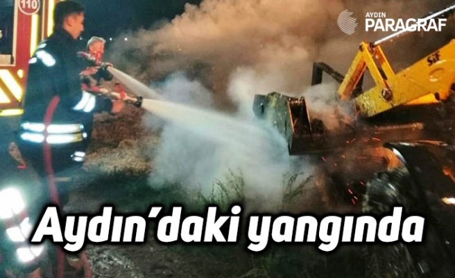 Aydın’daki yangında