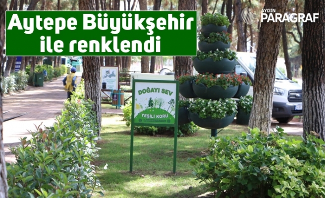 Aytepe Büyükşehir ile renklendi