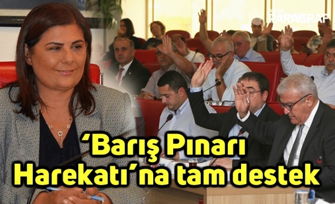 ‘Barış Pınarı Harekatı’na tam destek