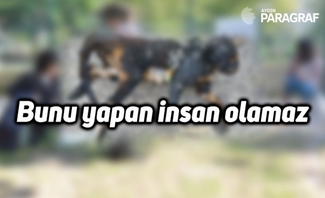 Bunu yapan insan olamaz