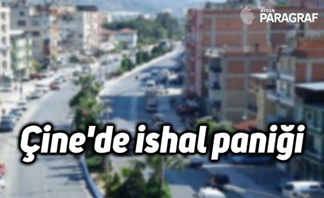 Çine'de ishal paniği