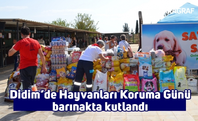 Didim’de Hayvanları Koruma Günü barınakta kutlandı
