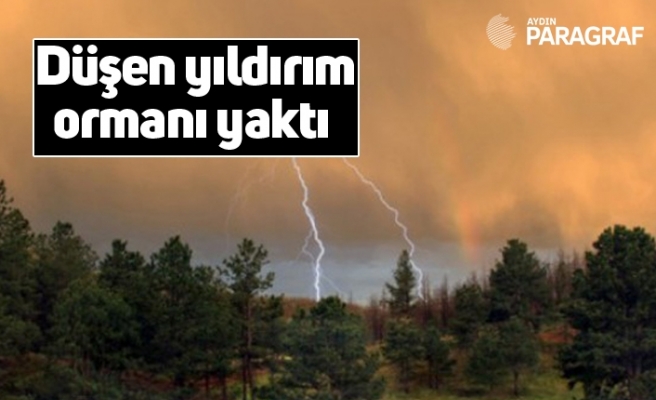 Düşen yıldırım ormanı yaktı