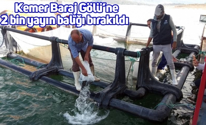 Kemer Baraj Gölü’ne 2 bin yayın balığı bırakıldı