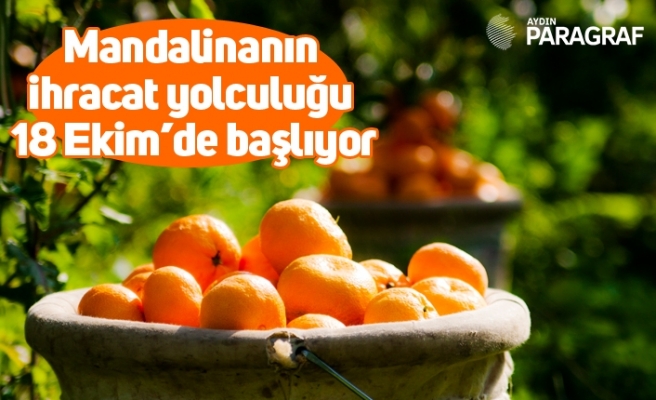 Mandalinanın ihracat yolculuğu 18 Ekim’de başlıyor