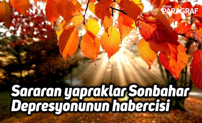 Sararan yapraklar Sonbahar Depresyonunun habercisi