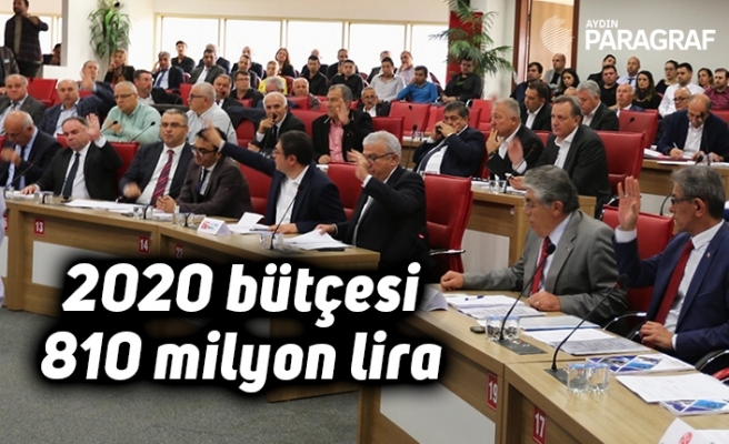 2020 bütçesi 810 milyon lira