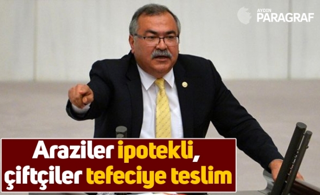 Araziler ipotekli, çiftçiler tefeciye teslim