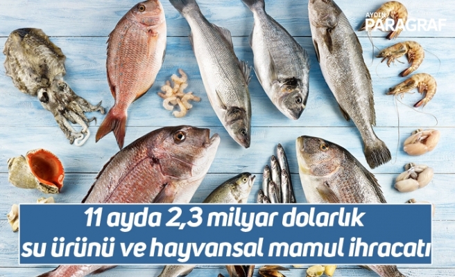 11 ayda 2,3 milyar dolarlık su ürünü ve hayvansal mamul ihracatı