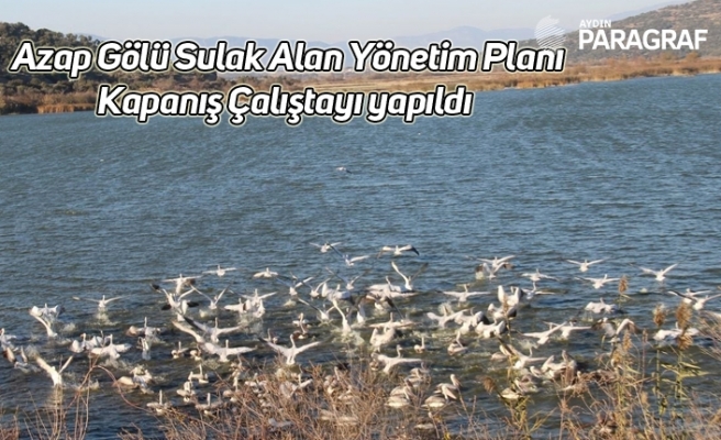 Azap Gölü Sulak Alan Yönetim Planı Kapanış Çalıştayı yapıldı