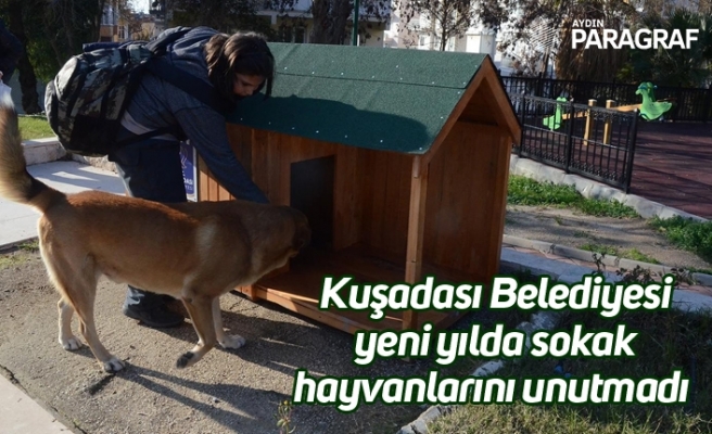 Kuşadası Belediyesi yeni yılda sokak hayvanlarını unutmadı