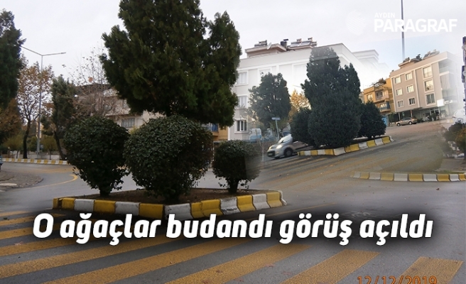 O ağaçlar budandı görüş açıldı