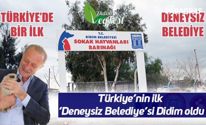 Türkiye’nin ilk ‘Deneysiz Belediye’si Didim oldu