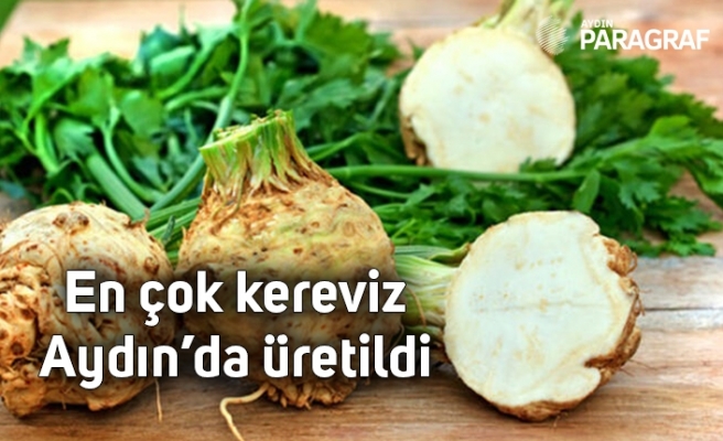 En çok kereviz Aydın’da üretildi