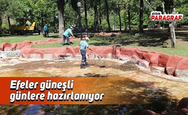 Efeler güneşli günlere hazırlanıyor