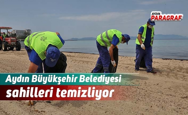 Aydın Büyükşehir Belediyesi sahilleri temizliyor