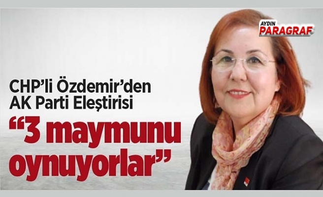 CHP’li Özdemir’den AK Parti eleştirdi