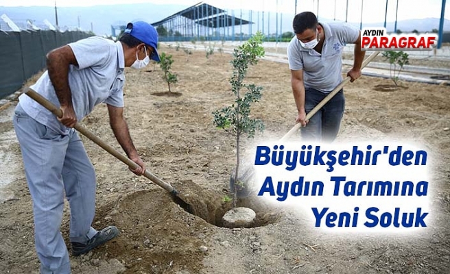 Büyükşehir'den Aydın Tarımına Yeni Soluk