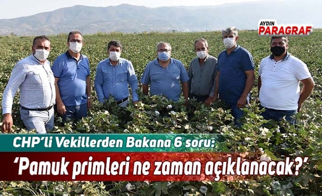 CHP’li Vekillerden Bakana 6 soru: “Pamuk primleri ne zaman açıklanacak?”