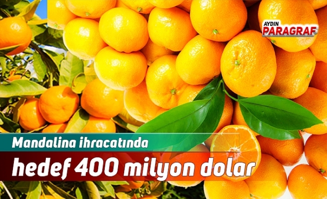 Mandalina ihracatında hedef 400 milyon dolar