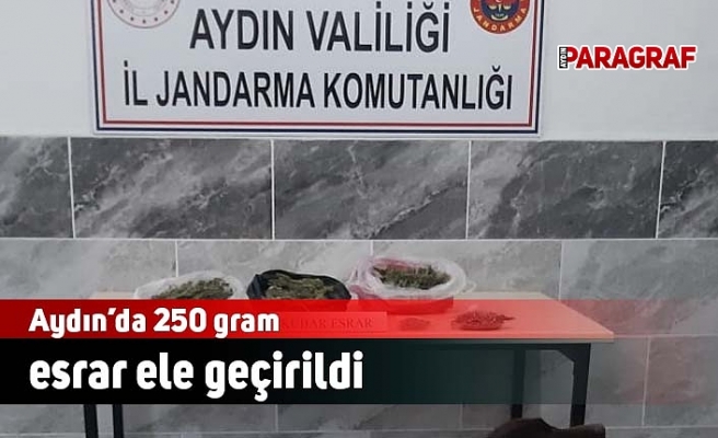 Aydın’da 250 gram esrar ele geçirildi